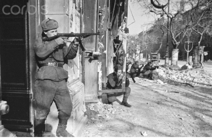 ��� ��, ������ ������������ �� ���� ���� ������ �������