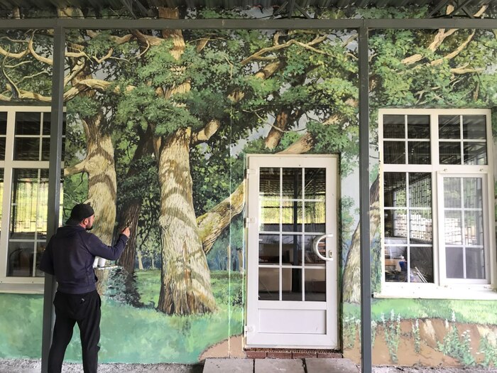 Некоторые из моих работ по аэрографии и росписи стен | Пикабу