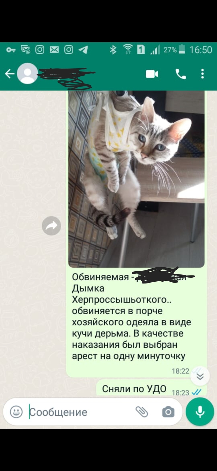 Вторая Коза рогатая)))) после стерилизации.. по показаниям