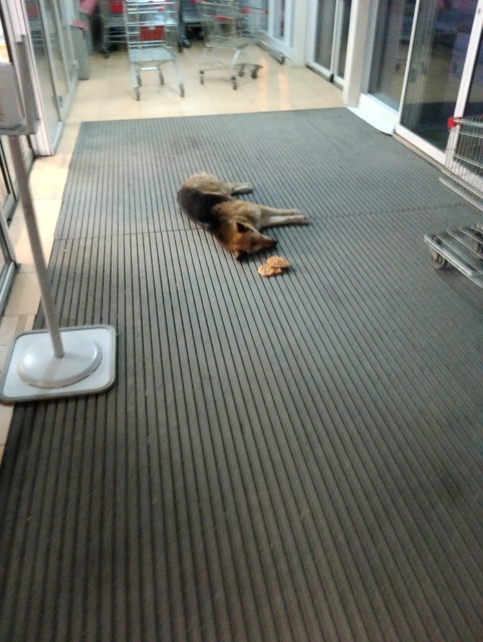 Наелся и спит