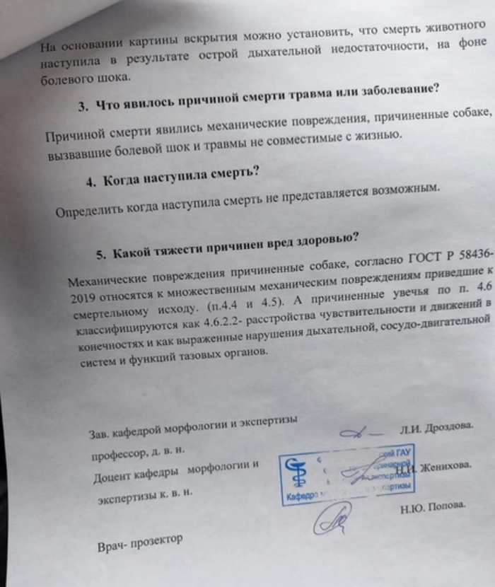 В Каменске-Уральском кто-то жёстко издевался над собакой