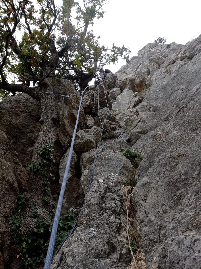 Станция R4 на дереве выше дуба.