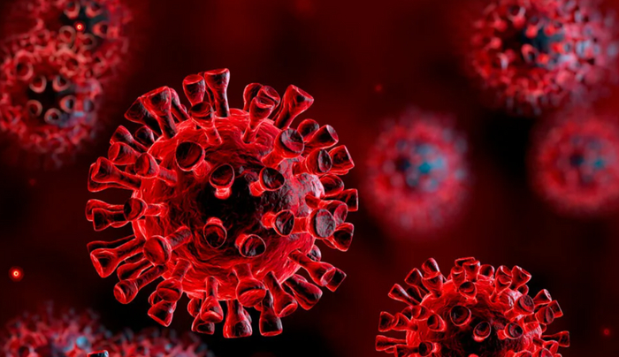 ЧТО ВЫ ЗНАЕТЕ О ВИРУСАХ ?