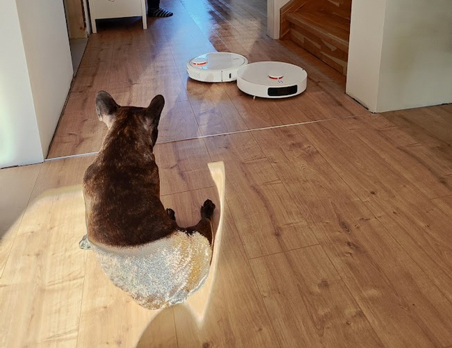 да начнется битва роботов-пылесосов!