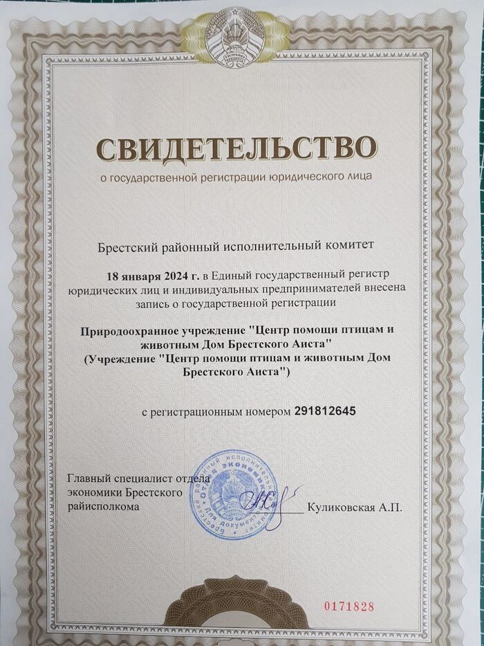 ���� �������� ������