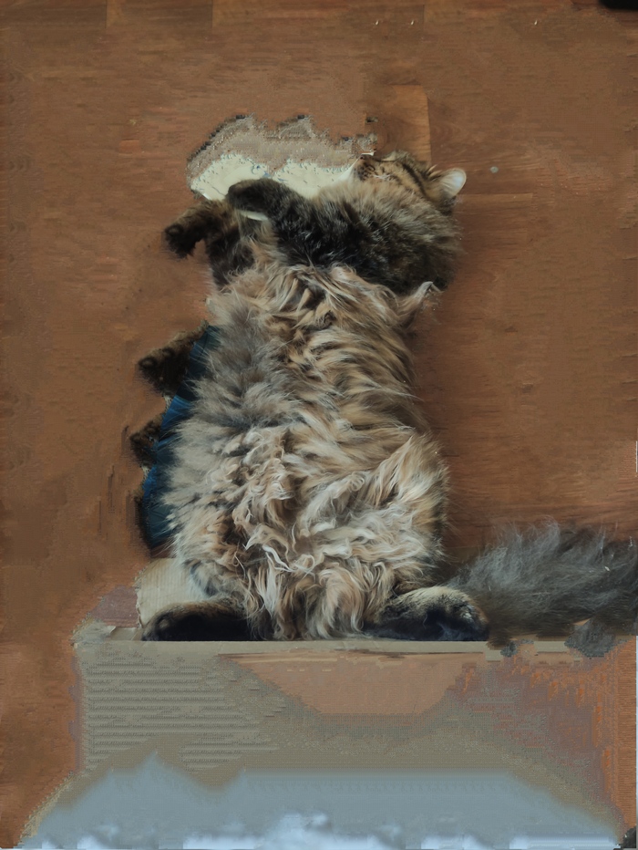 ������� ����.