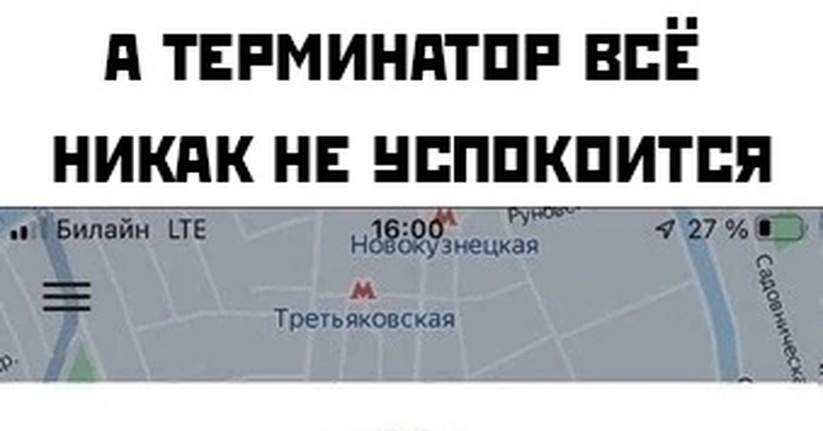 Терминатор | Пикабу