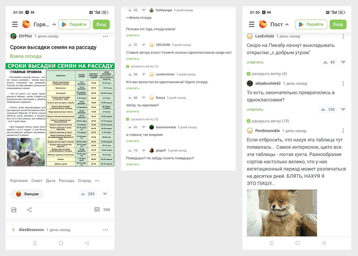 ���������� ���� �� ������� �� ��������-����� ��� �������� � ����������� � ����