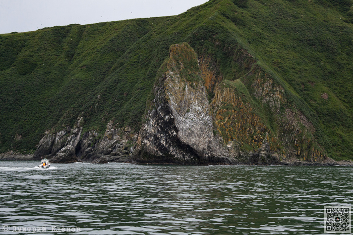 Остров старичков