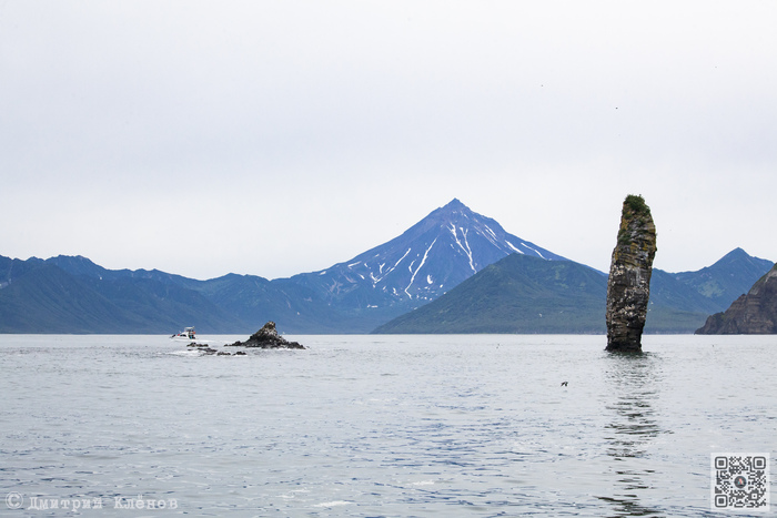 Палец и лежбище нерп на фоне Вилючинской сопки