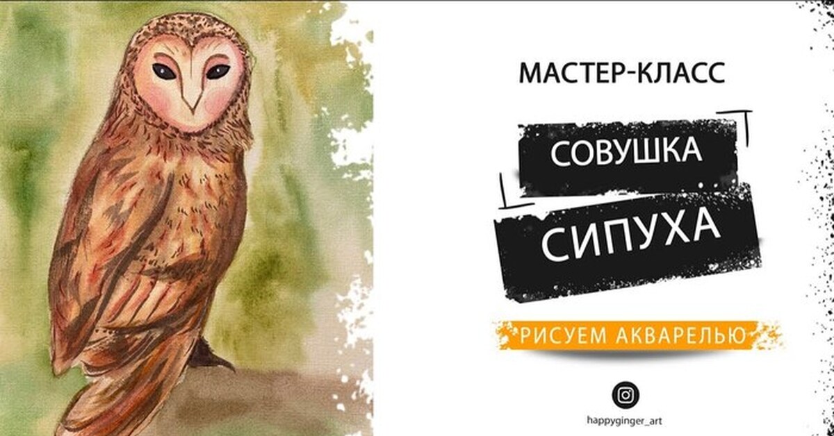 Как нарисовать совушку