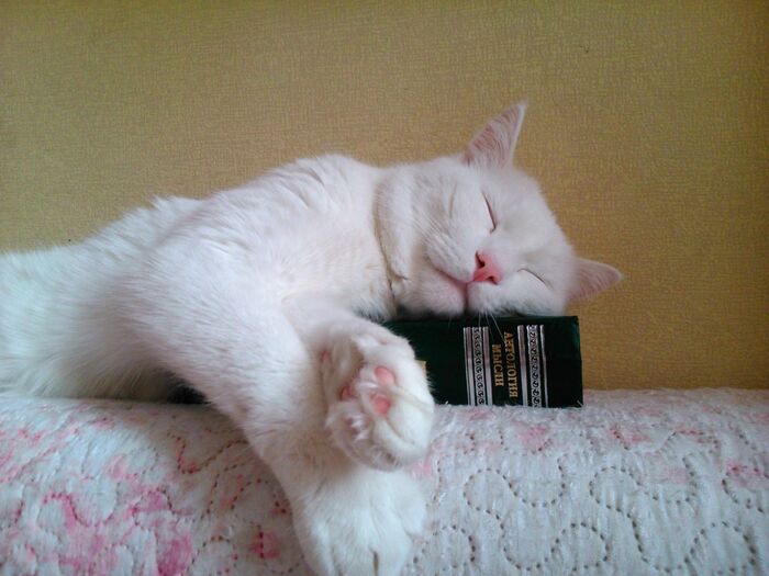 ����� ��� ����. � ��� ������ ����� ������. � ��, �� �������, �������� � �������.