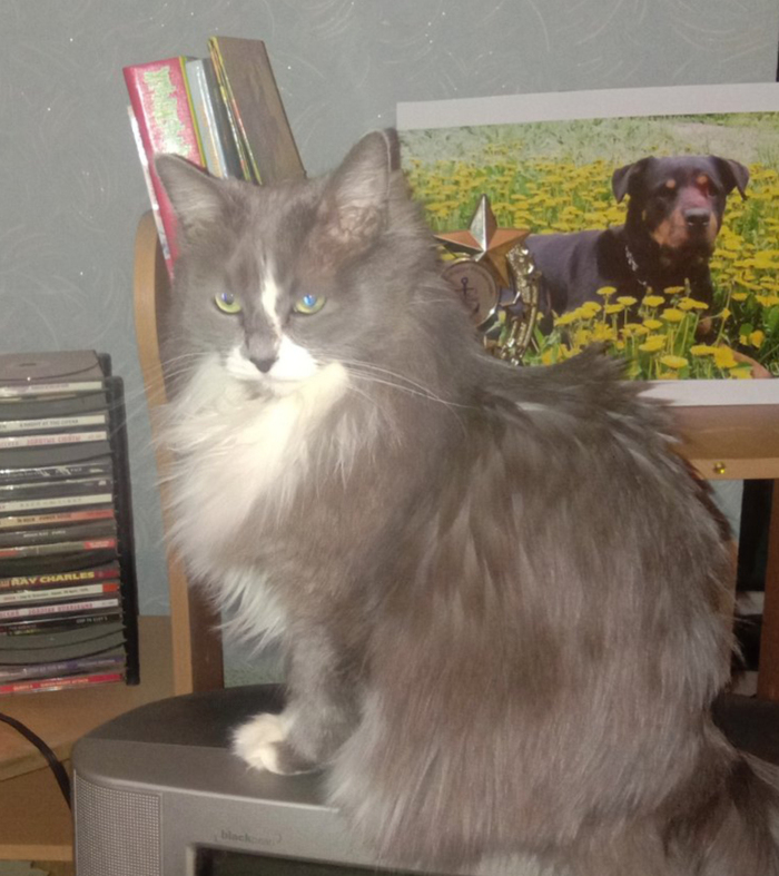 �������, ��� ������� ������� � ������