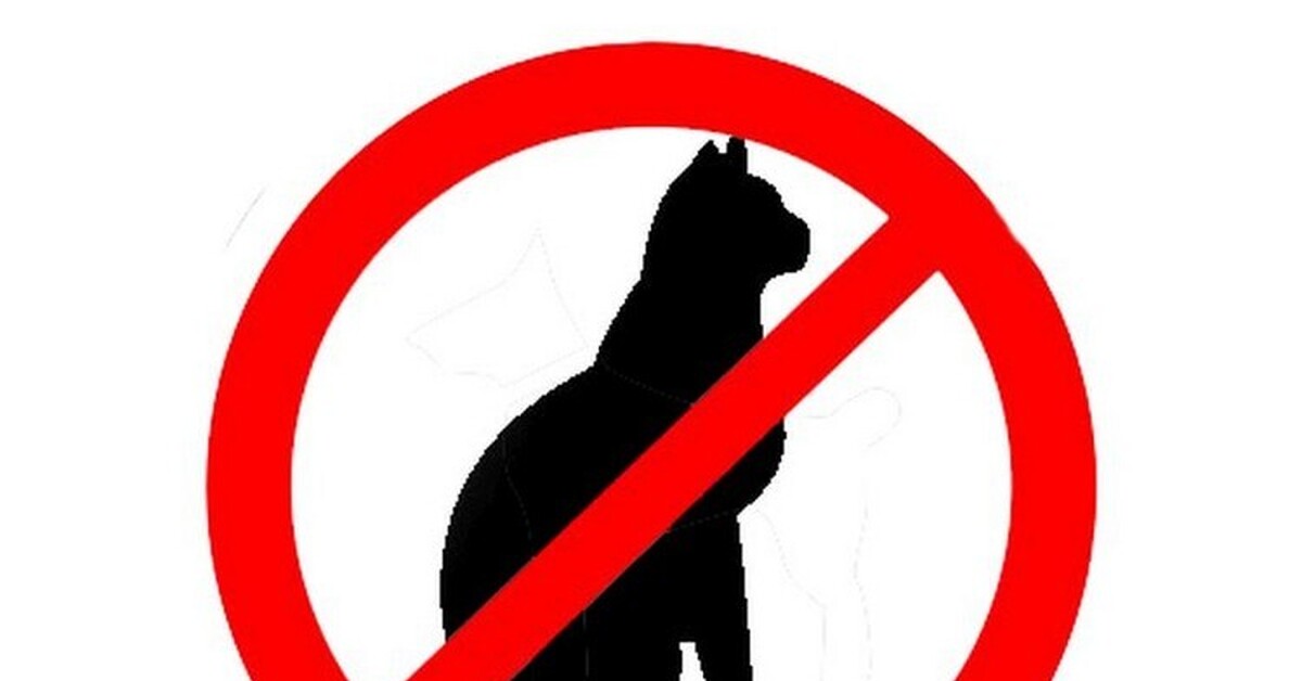 РЖД может ввести запрет на первозку котов | Пикабу