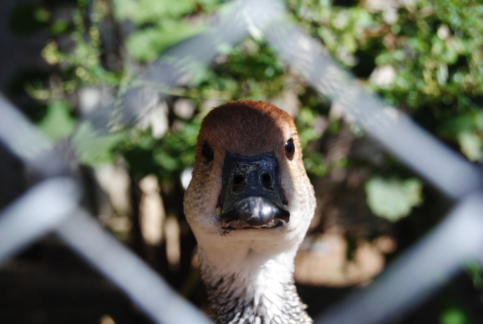 � ���� ���-�� ����� ����?