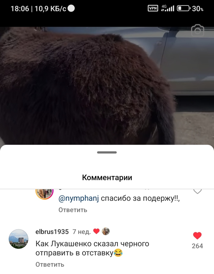 ������ �������