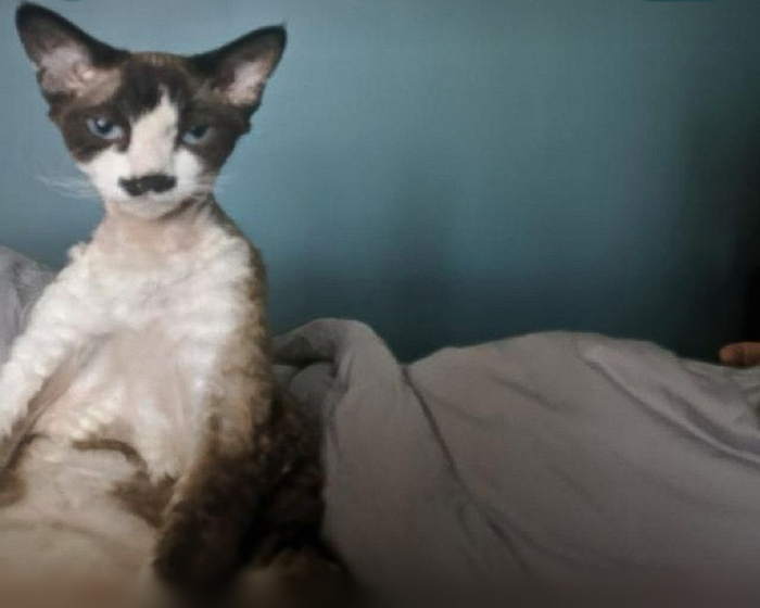 Тот самый тяжелый понедельник.