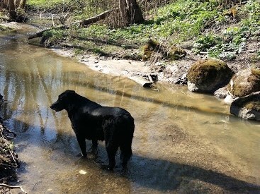 Река Тызьва