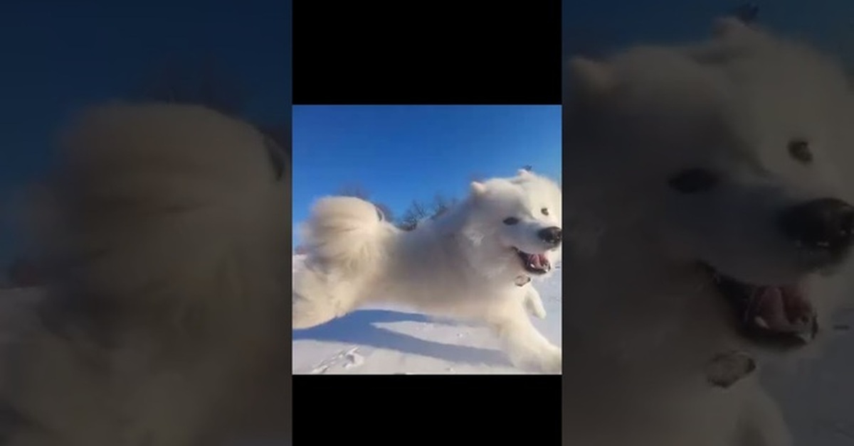 Женщина утром. Как писать сутра или с утра. Как правильно наутро. Ранние подъемы по утрам. Не вставая с постели.