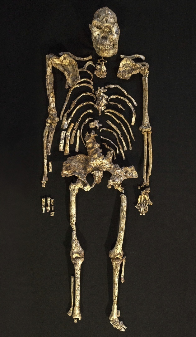 ������! � - ������������� ���������� �����! ��� 3 �������� 670 ����� ���