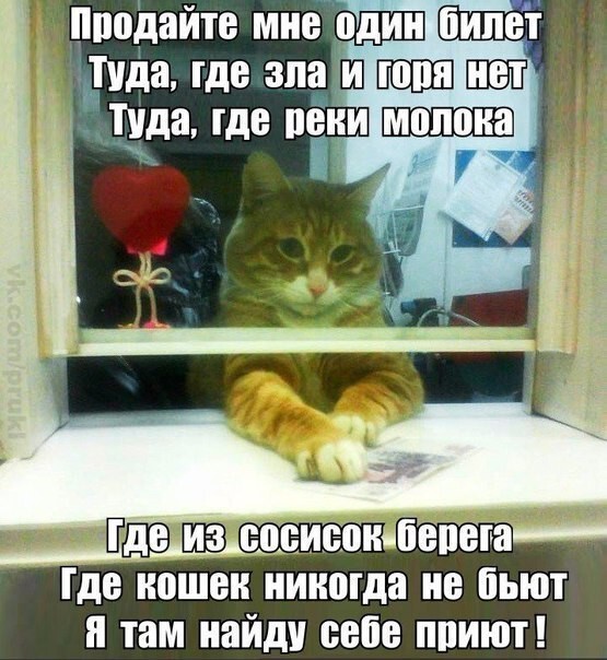     , ,  , ,   