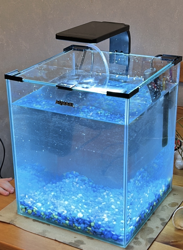 Первый аквариум