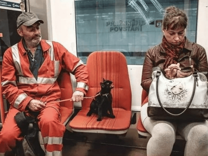 ������ ��� ������ �� ������ �� ��������