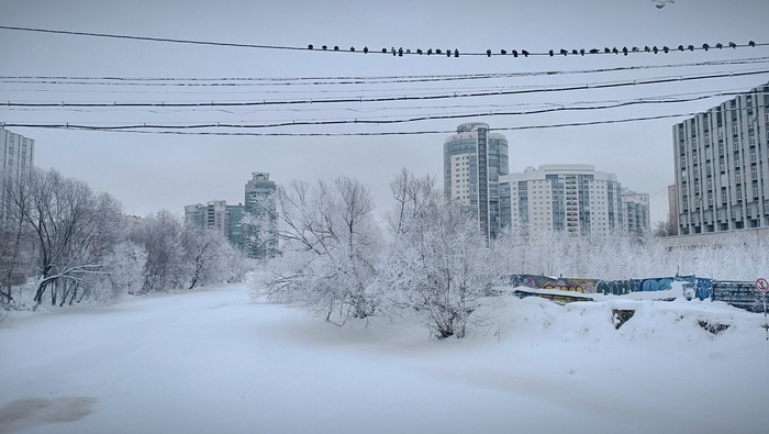 ����� �������� ���������