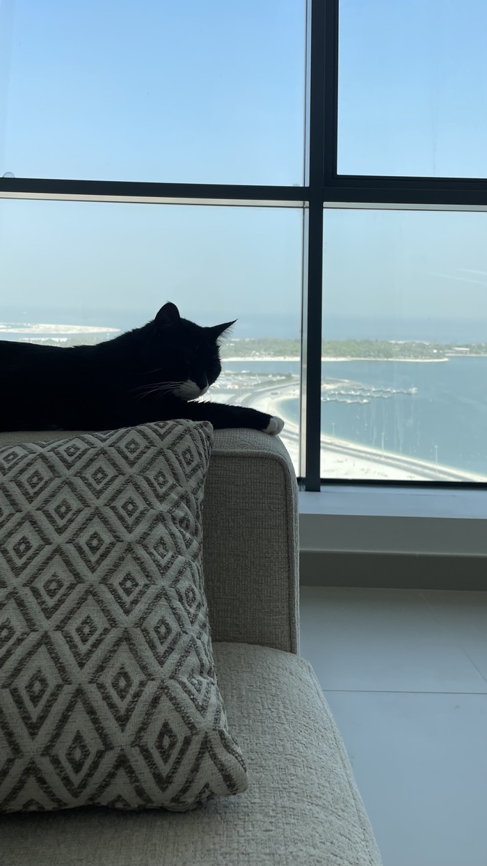 Переезд в ОАЭ Жизнь за границей, Переезд, ОАЭ, Релокация, Дубай, Эмиграция, Путешествия, Длиннопост