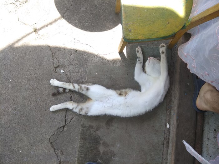 Самое лучшее место для сна - на проходе)