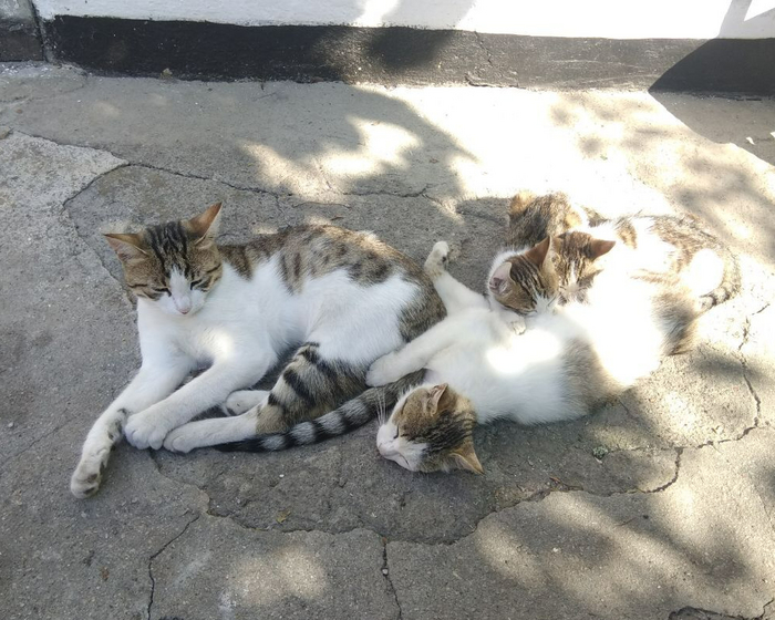 В кругу семьи (мама и младшие сестры)