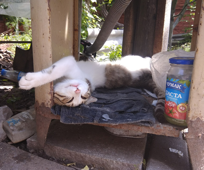 Пациент скорее жив, чем мёртв?