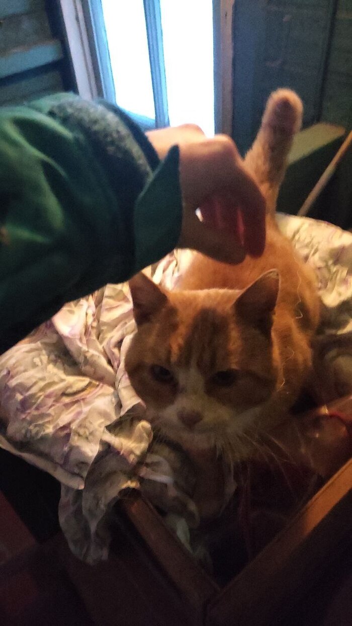 ��� �������! (��������� ������ ������ ���� ����������)