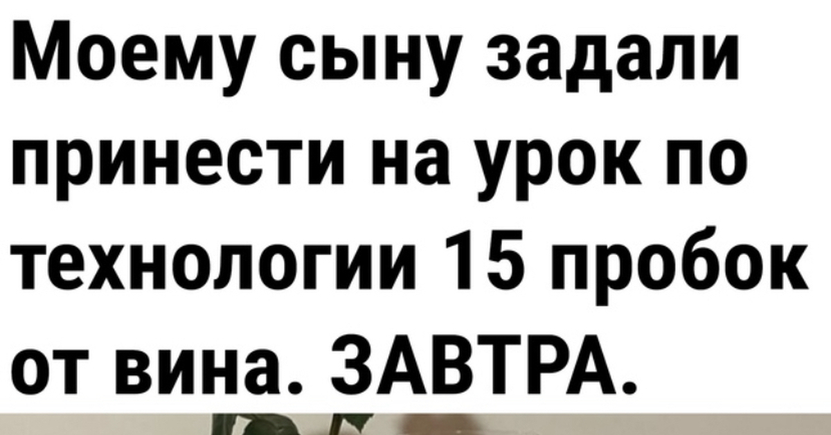 Прикол | Пикабу
