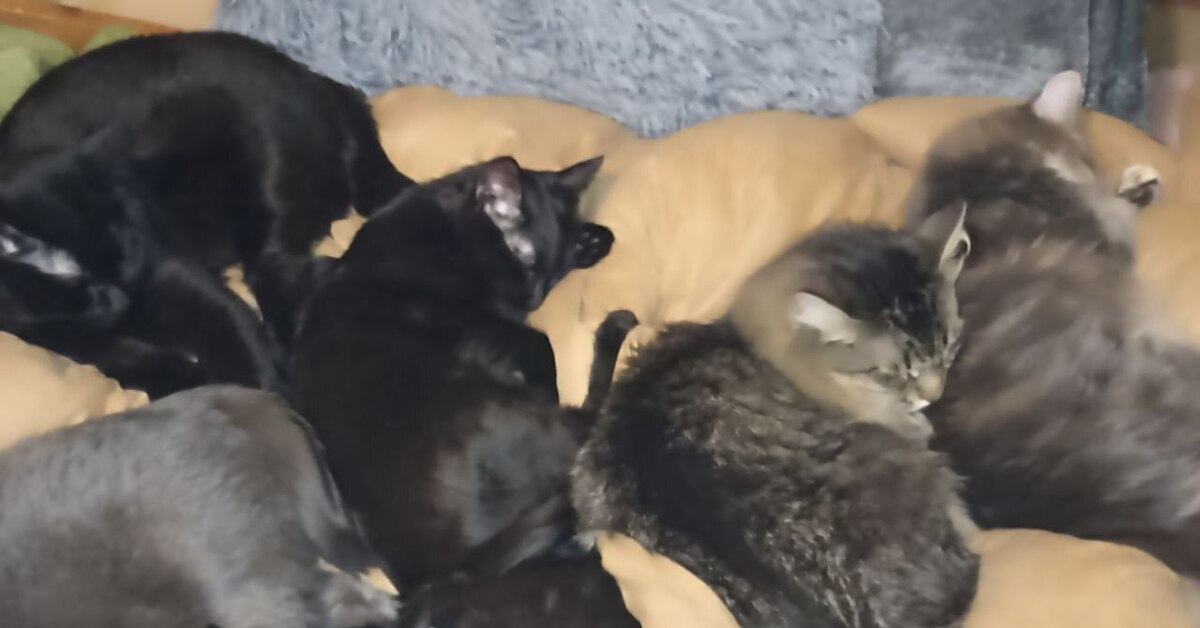 ваша мечта ответы. ваша мечта ответы. ваша мечта ближе чем кажется. ваша мечта ответы. ваша мечта ответы.