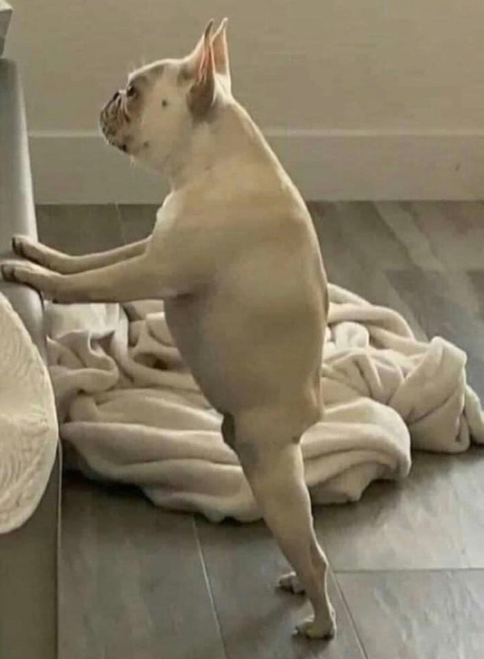 ������ ����� �������, �������?