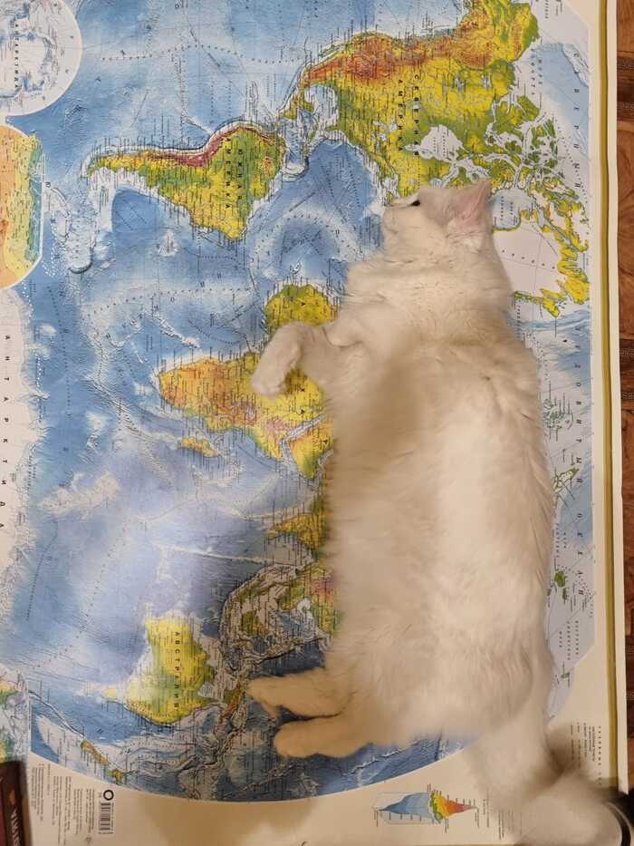 ����� �������