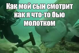 Просто шишка