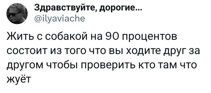 И с кошкой >.<