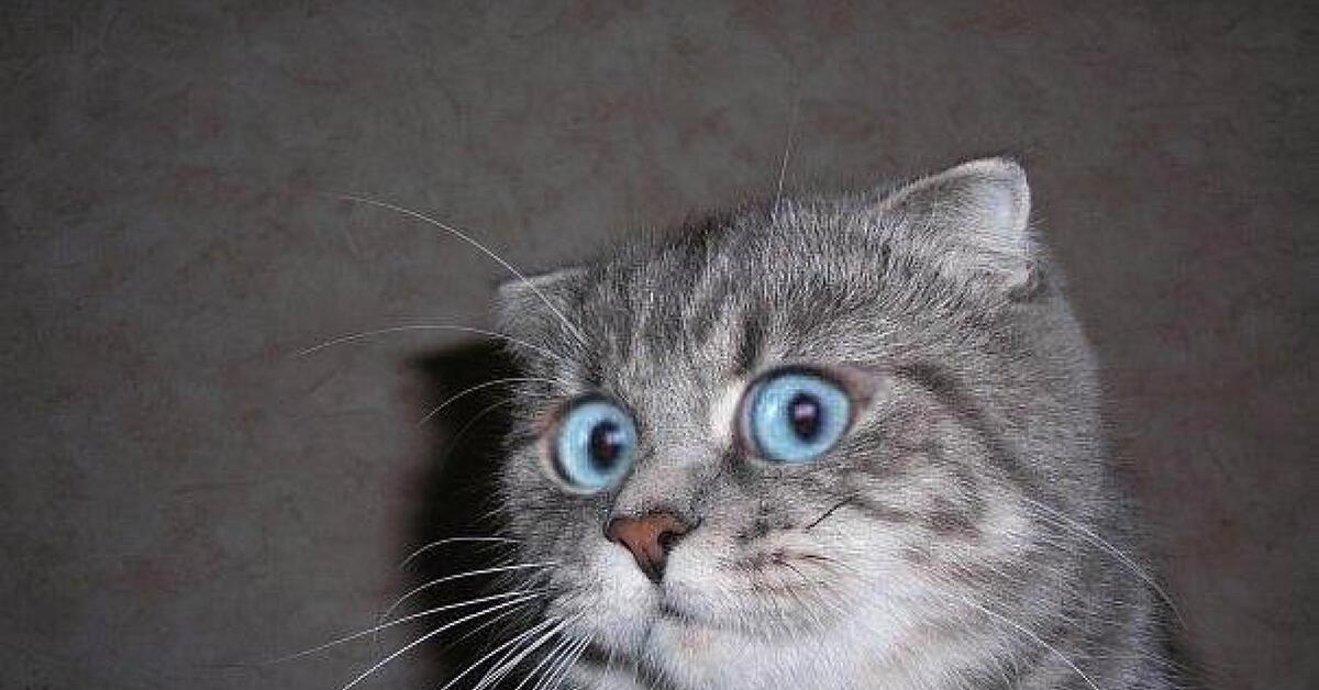 ну значит сделай. ну значит сделай. картинка проси что хочешь. ну значит сделай. что сделано то сделано.