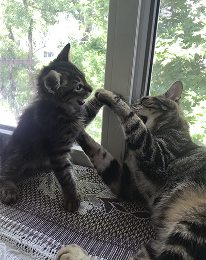 Процесс воспитания.