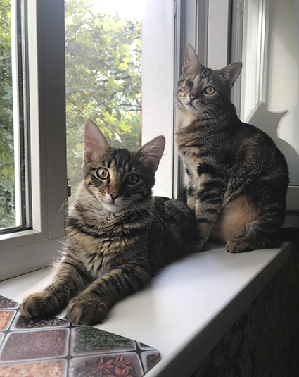 Малыш в возрасте шести месяцев и Кутузя (полтора года)