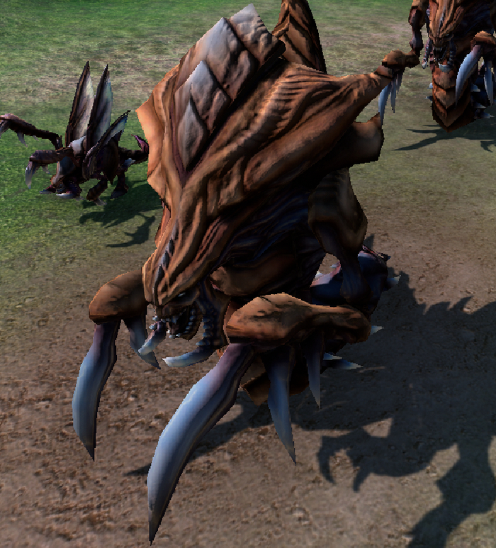 Свежая гидра