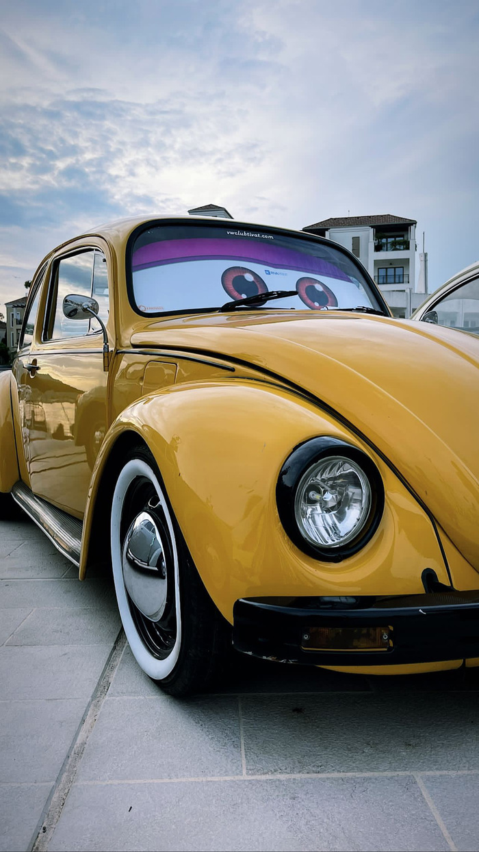   ( 2)   , Volkswagen Beetle, , , , ,  