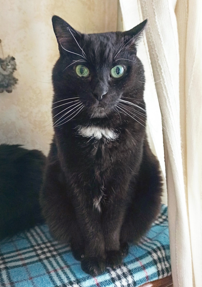          -       11 ?       )