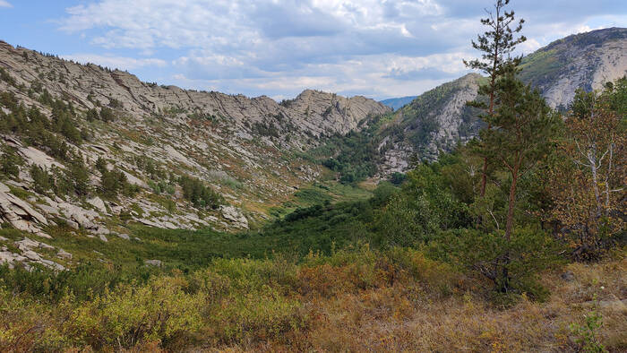 ������ ��������