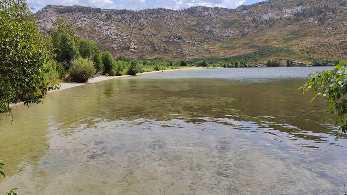 ���� ���������