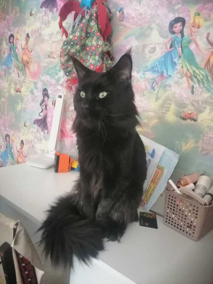 ���� ����