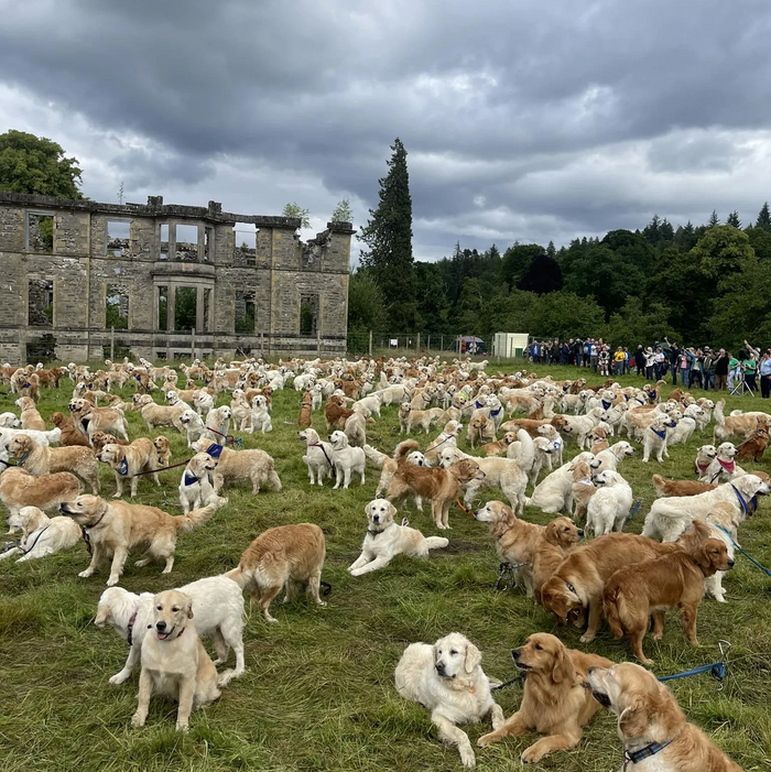 ����� ���������� �� ��������� ������� ��������� � �������! ������ ��� ���� � ������ ���� ������!