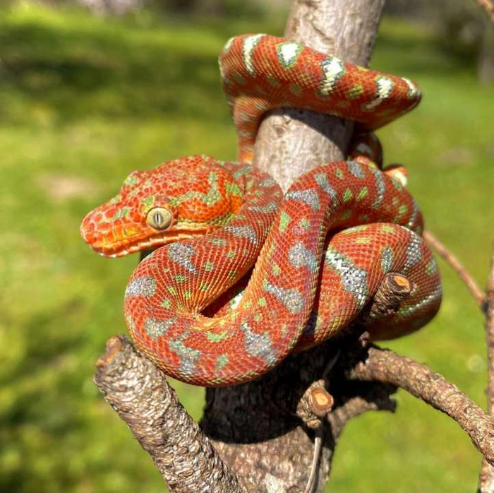    ,       - ,   ,    .